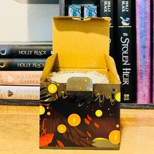 Illumicrate Exclusive BANKED FIRE MUG